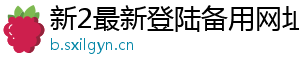 新2最新登陆备用网址官方版